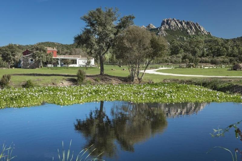 Hotel Li Neuli Country Club à San Pantaleo Extérieur photo