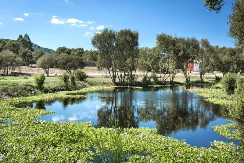 Hotel Li Neuli Country Club à San Pantaleo Extérieur photo